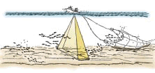 tr_f.gif (12128 bytes)